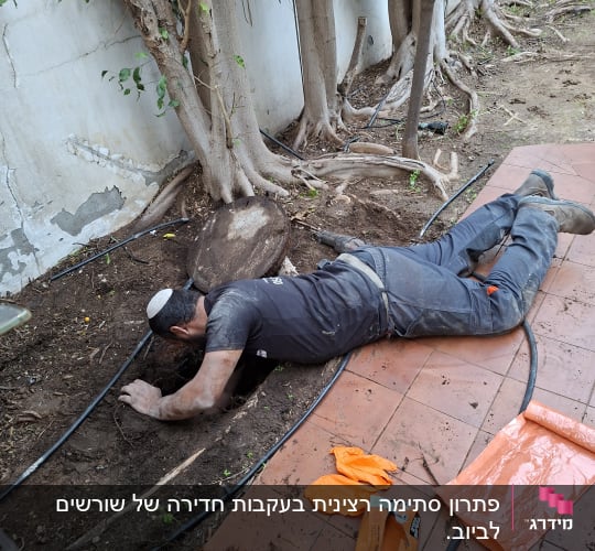 אדם עובד בחפירה ליד עצים עם כפפות כתומות